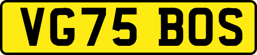 VG75BOS