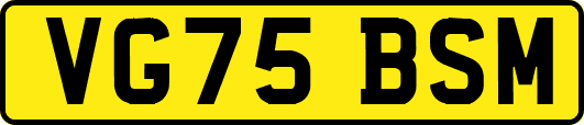 VG75BSM
