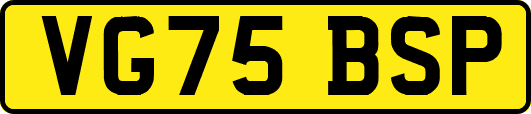 VG75BSP