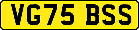 VG75BSS