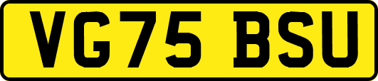 VG75BSU
