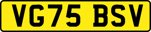 VG75BSV