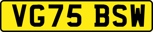 VG75BSW