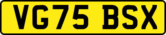 VG75BSX