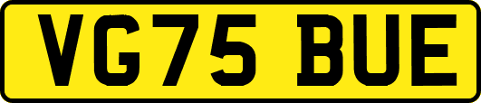 VG75BUE
