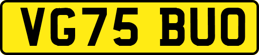 VG75BUO