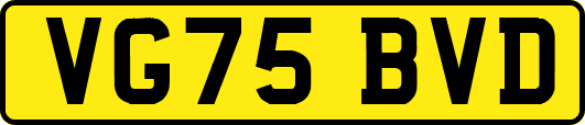 VG75BVD