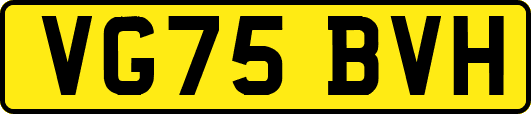 VG75BVH