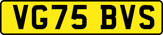 VG75BVS