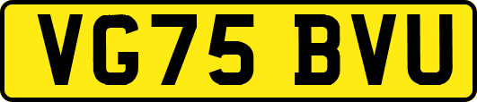 VG75BVU