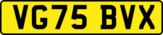 VG75BVX