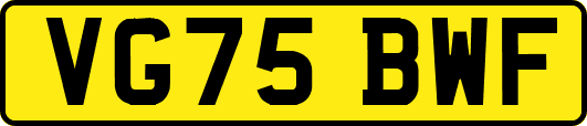 VG75BWF
