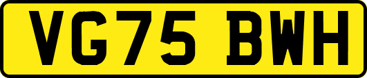 VG75BWH