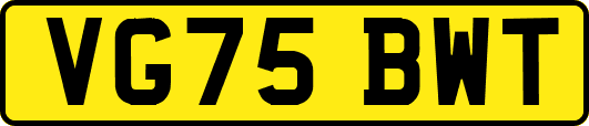 VG75BWT