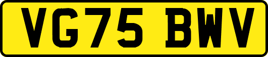 VG75BWV