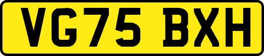 VG75BXH