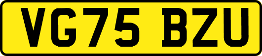 VG75BZU