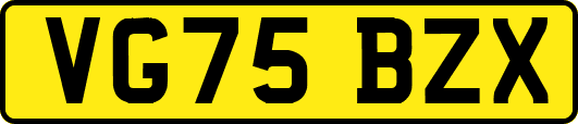 VG75BZX