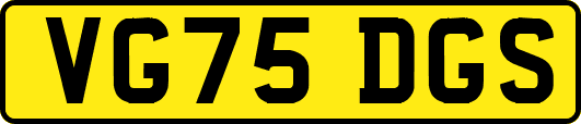 VG75DGS