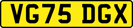 VG75DGX