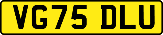 VG75DLU