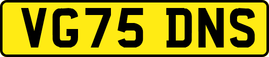 VG75DNS