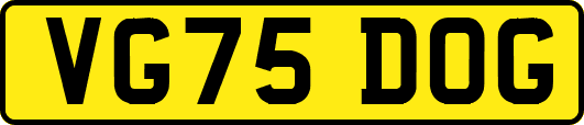 VG75DOG