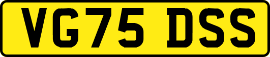 VG75DSS