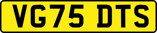 VG75DTS