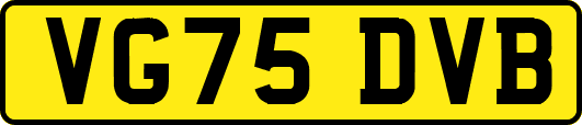 VG75DVB