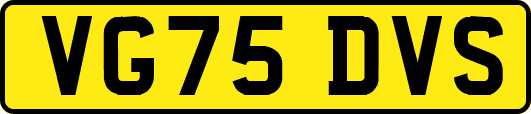 VG75DVS