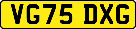 VG75DXG