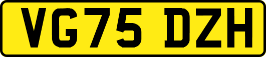 VG75DZH