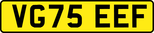 VG75EEF