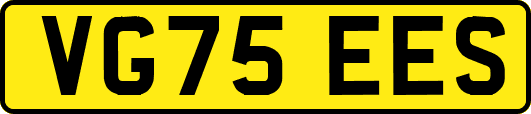 VG75EES