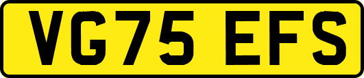 VG75EFS