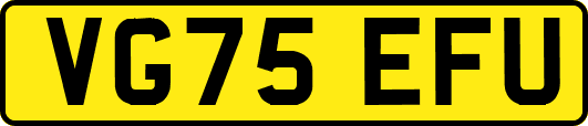VG75EFU