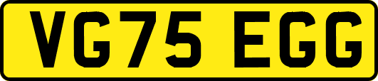 VG75EGG