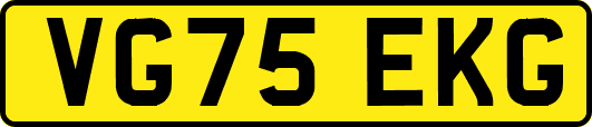 VG75EKG