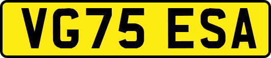 VG75ESA