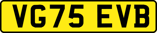 VG75EVB