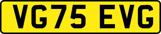 VG75EVG