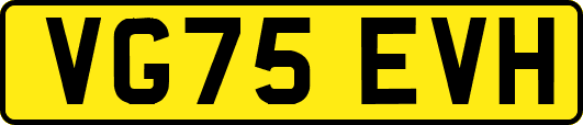 VG75EVH