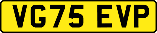 VG75EVP