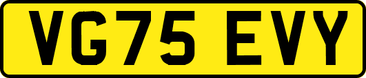 VG75EVY
