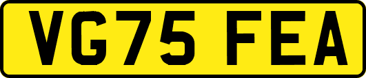 VG75FEA