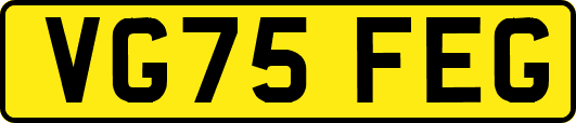 VG75FEG
