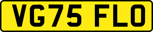 VG75FLO