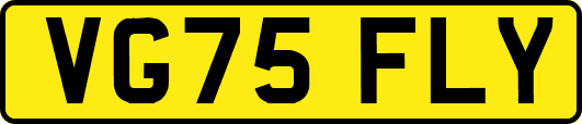 VG75FLY