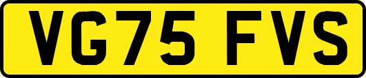 VG75FVS